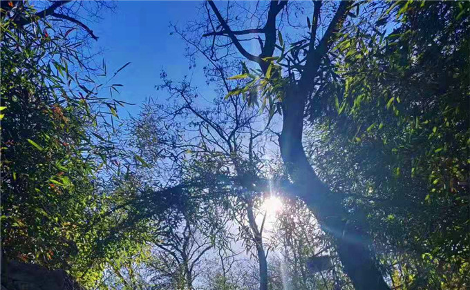 泰安太阳部落景区门票价格多少
