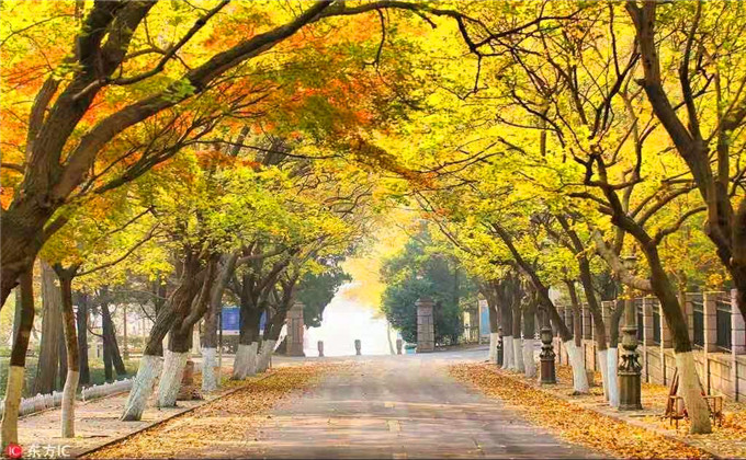 山东德州二日游路线及价格
