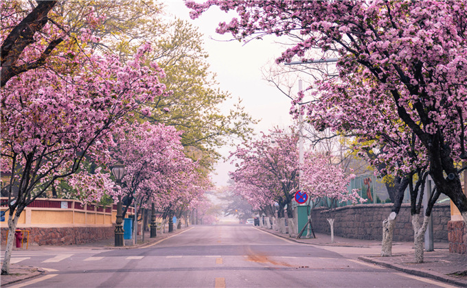 山东德州二日游路线设计