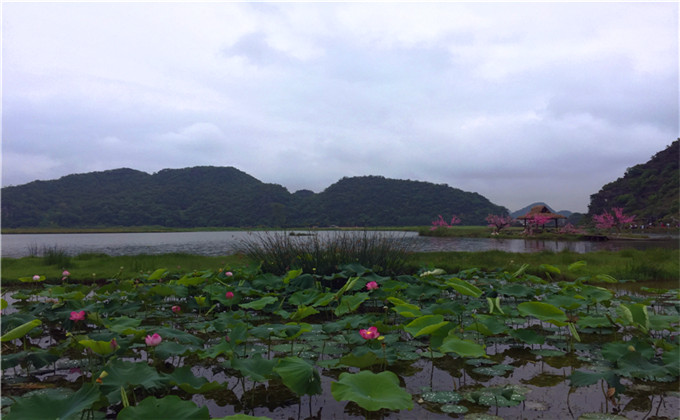 济宁附近一日游好去处封禅大典景区
