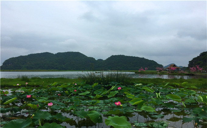 临沂周边一日游好玩地方封禅大典