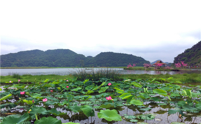 莱芜附近一日游好去处封禅大典景区