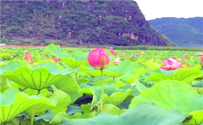 威海周边2日游好玩景点方特世界