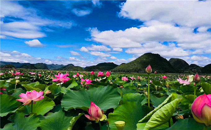 菏泽周边2日游最佳景点孔庙