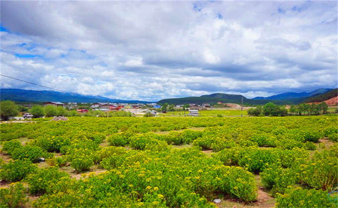 泰山地下大峡谷一日游路线