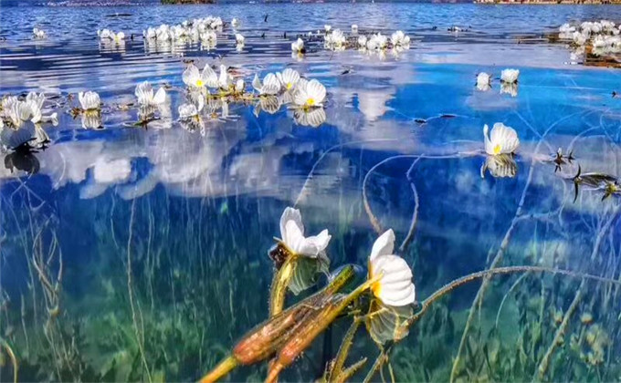 济宁周边2日游必去景点孔庙