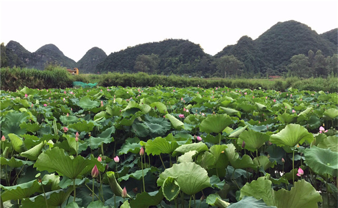 烟台周边2日游最佳景点微山岛